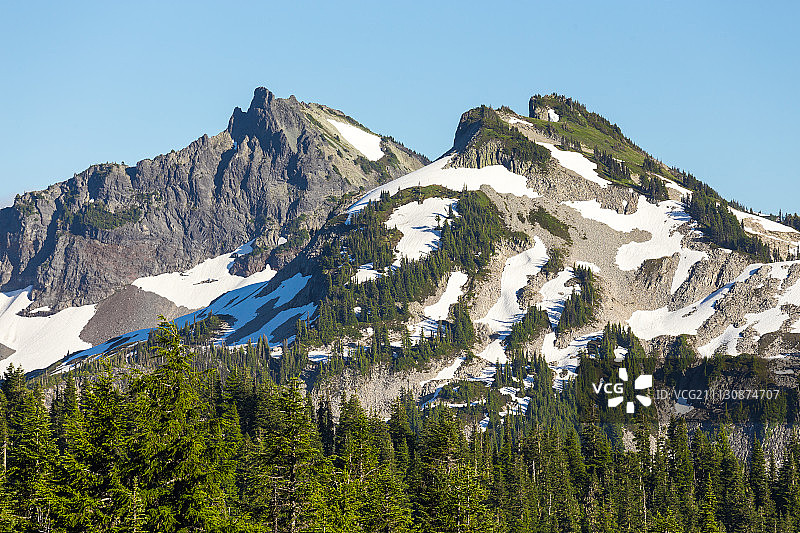 雷尼尔雪山森林图片素材