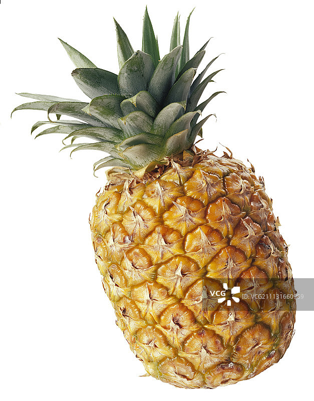 菠萝图片素材