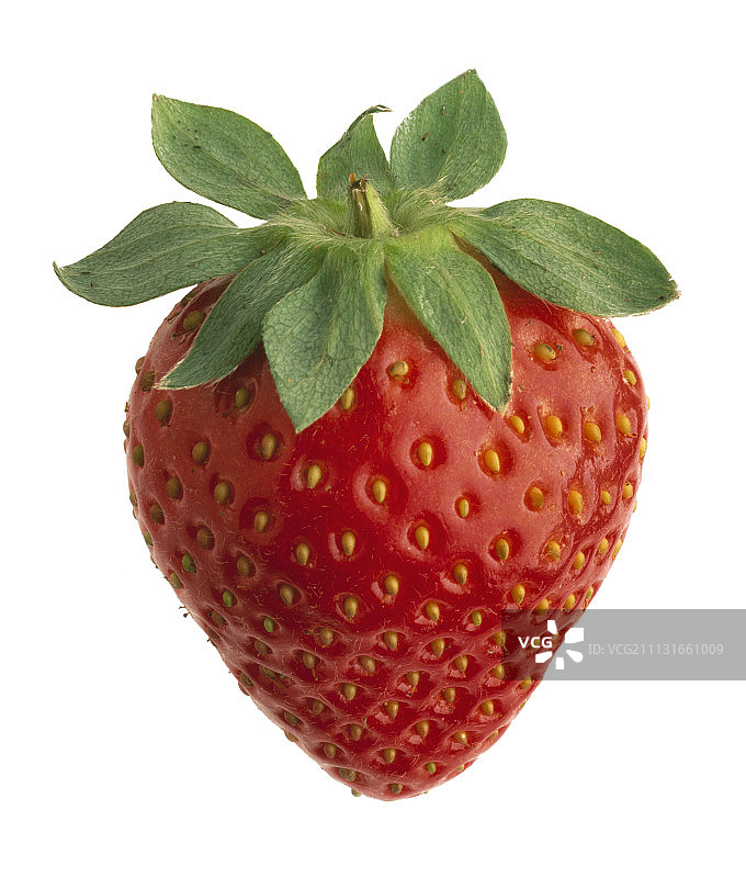 草莓图片素材