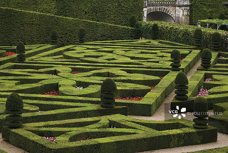 盒子、普通黄杨木图片素材