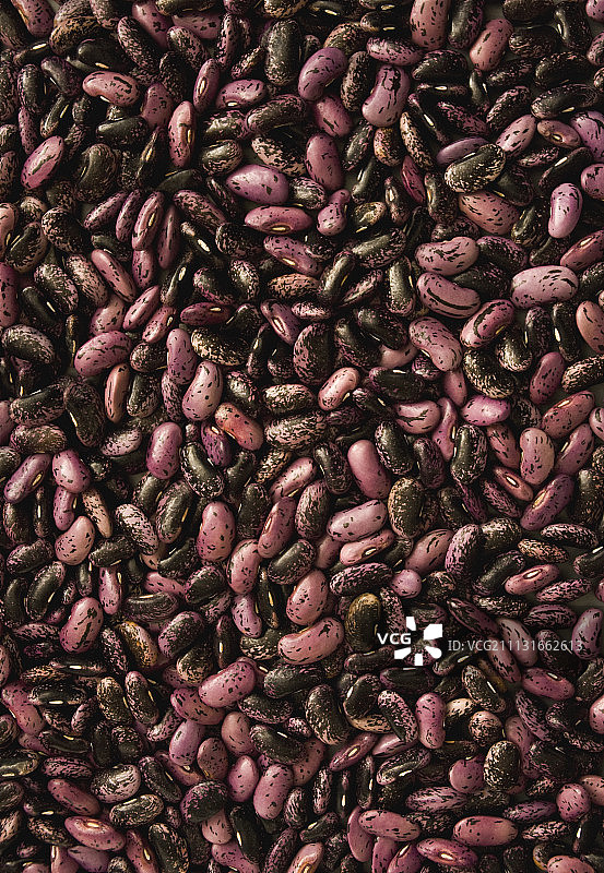 多花菜豆图片素材