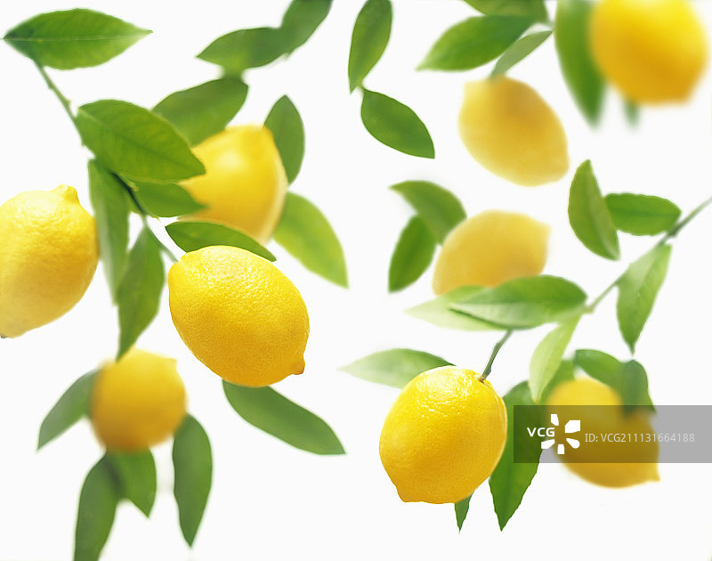 柠檬，白色背景图片素材