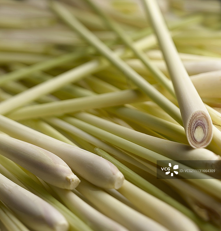 柠檬草特写，浅景深图片素材