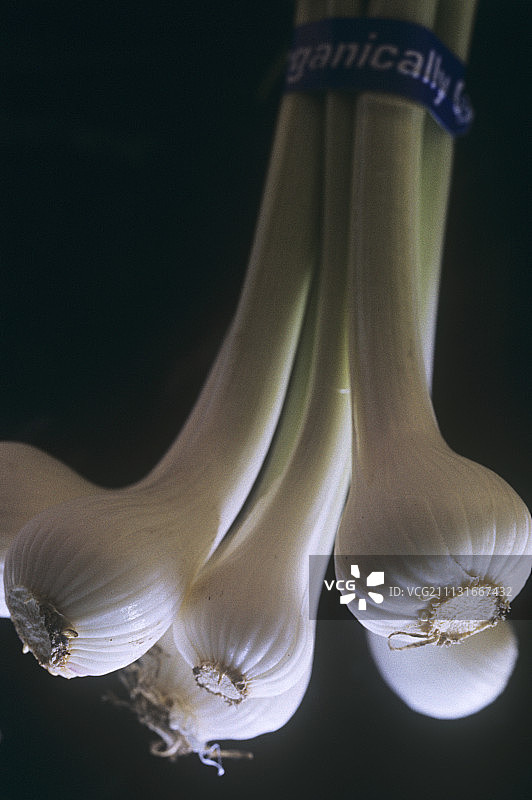 洋葱、葱、洋葱图片素材