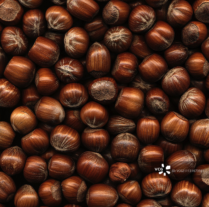 榛子图片素材