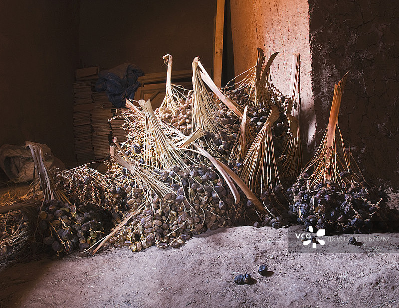 棕榈，海枣，海枣树图片素材