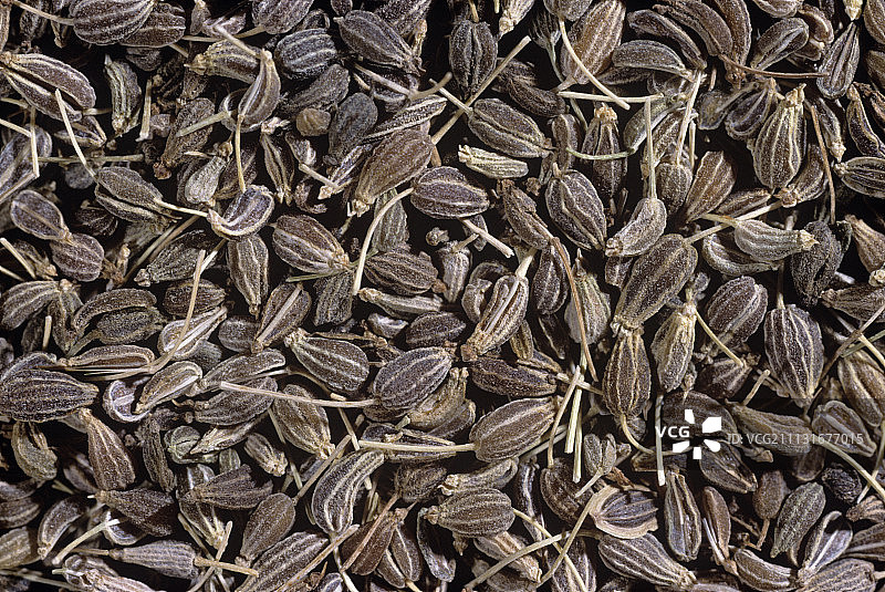 八角茴香图片素材