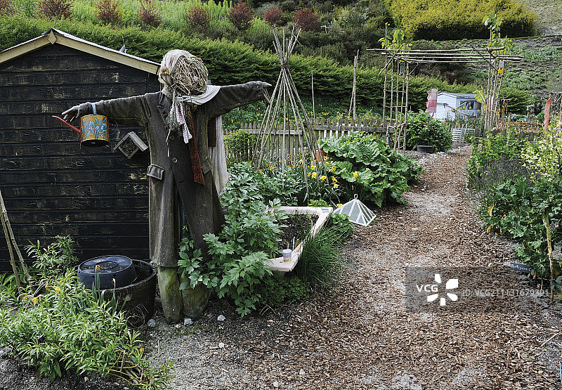 分配地图片素材