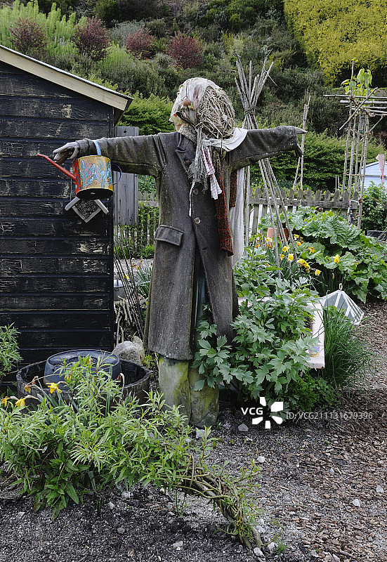 分配地图片素材