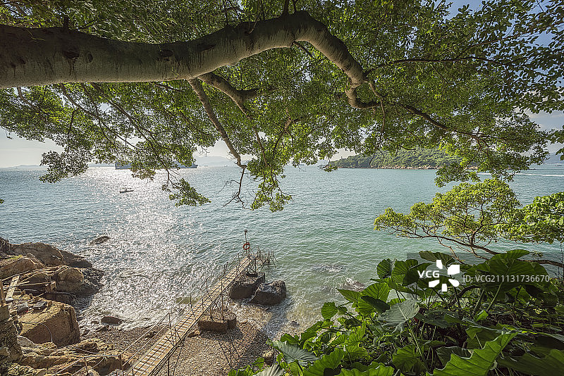香港西环泳棚高清图图片素材