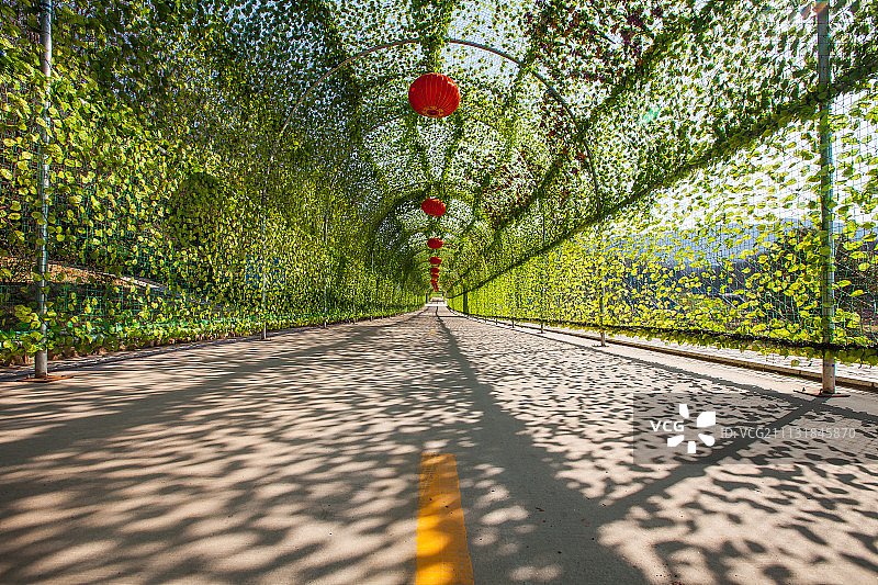 镇江句容千叶古村风光图片素材