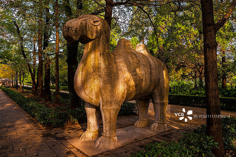 南京明孝陵风光图片素材