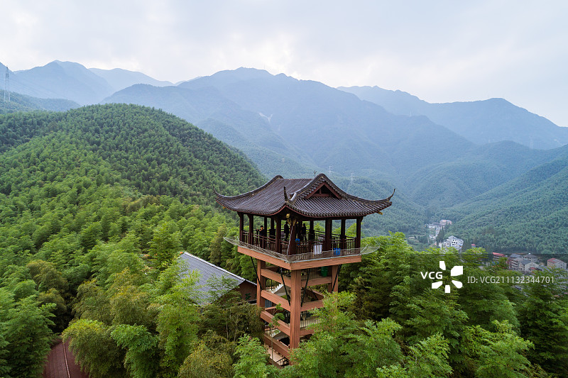 竹海景点图片素材
