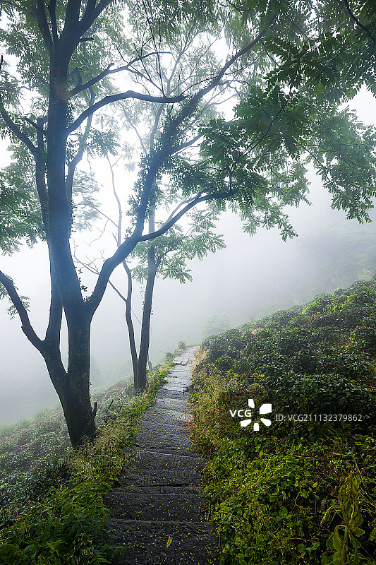 安徽仙寓山古徽杭古道图片素材