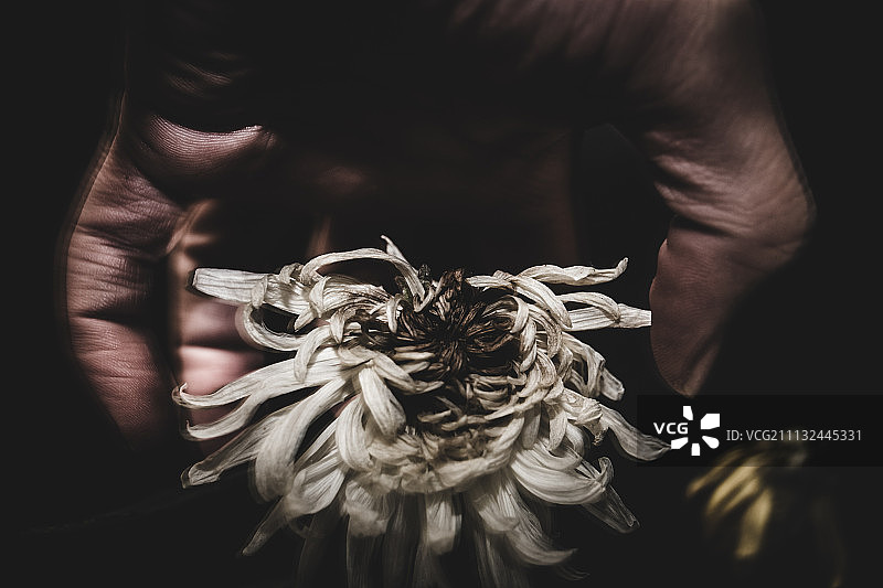 摄影师：Koukichi Takahashi图片素材