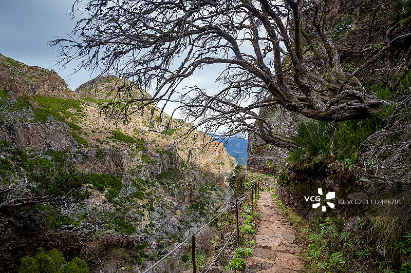 马德拉岛Pico Ruivo山附近岩石悬崖边缘的徒步小径图片素材