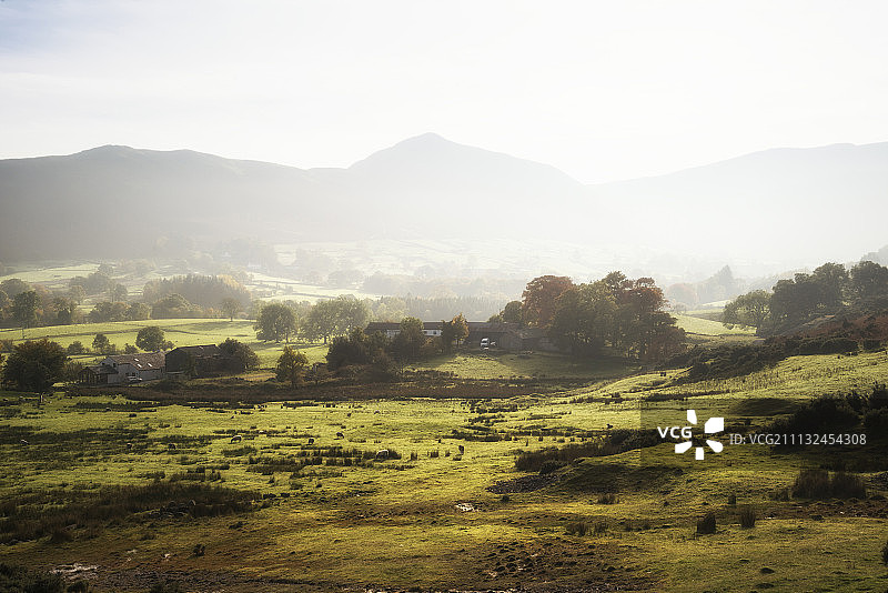 美丽的秋季日出雾景图片素材