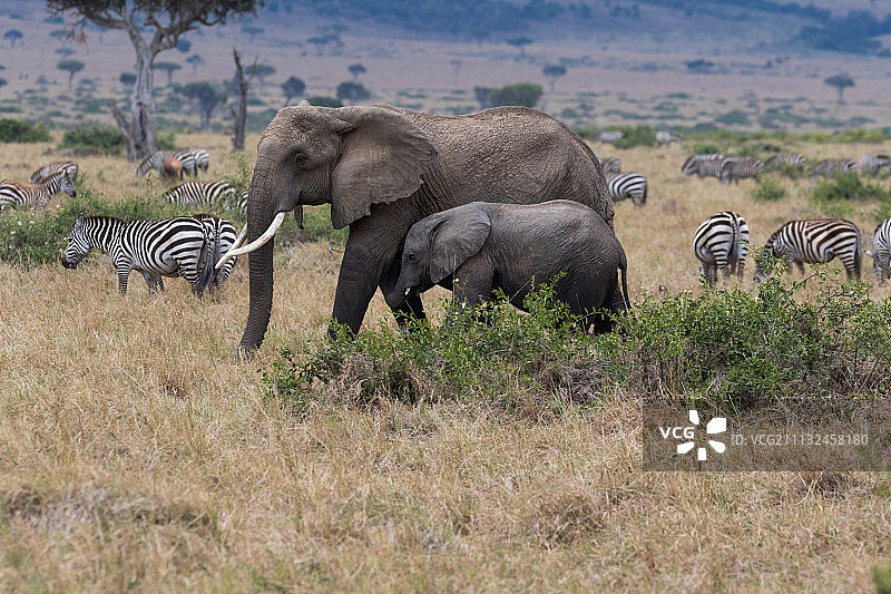 在郊区图片素材