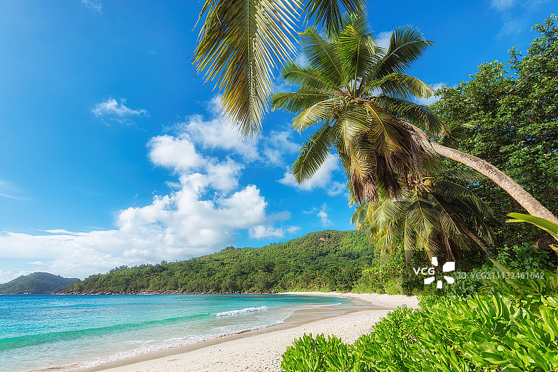 热带海滩图片素材