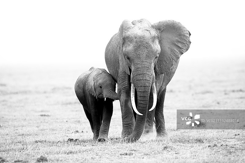 携手前行图片素材
