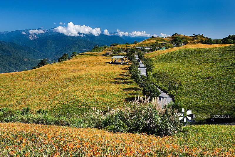 花莲;六十石山图片素材