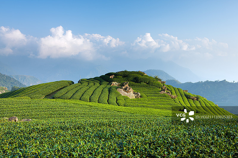嘉义;在那里生平图片素材