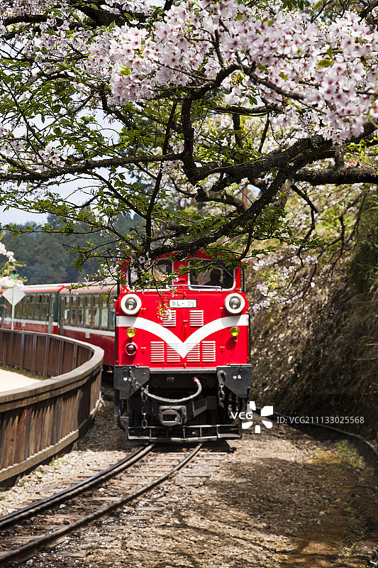 阿里山;火车图片素材
