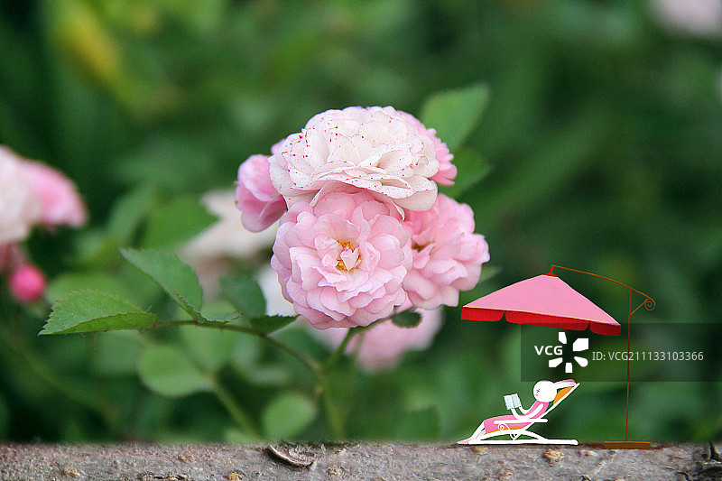 哲理兔系列插画-躺在躺椅上看书的兔图片素材