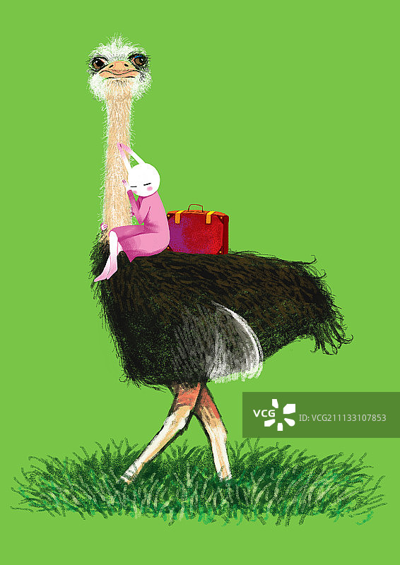 哲理兔系列插画-坐在鸵鸟上图片素材