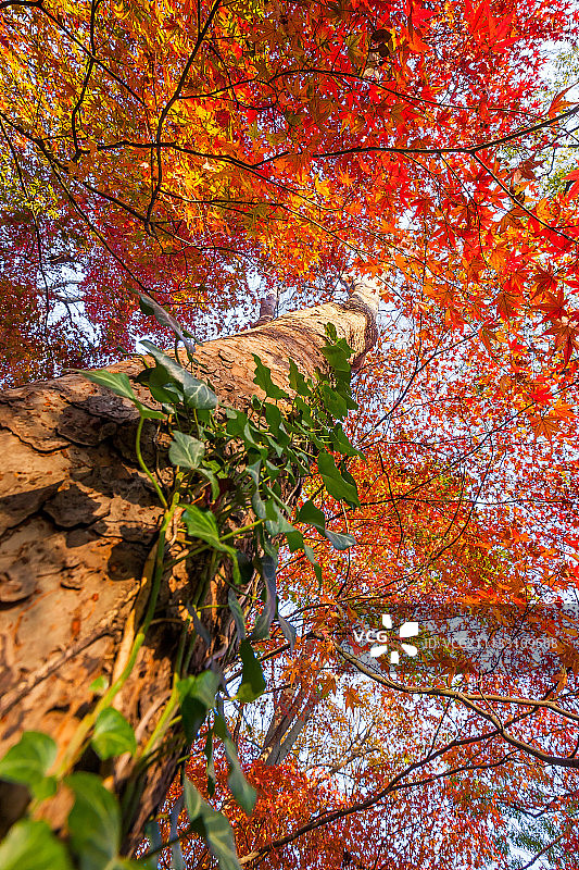 南京栖霞寺风光图片素材