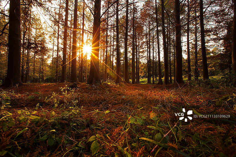南京栖霞寺风光图片素材