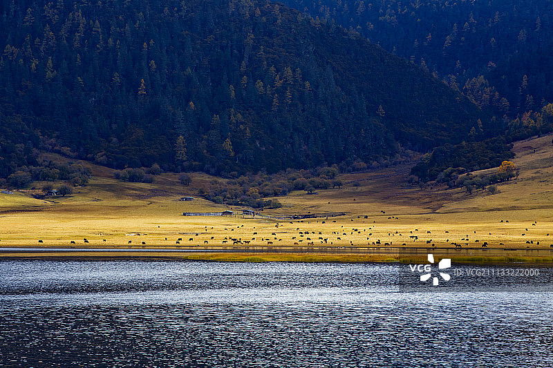 普达措图片素材