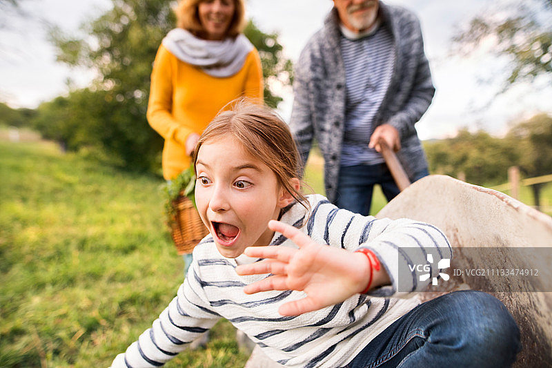 年长夫妇与孙女在后院花园里园艺图片素材