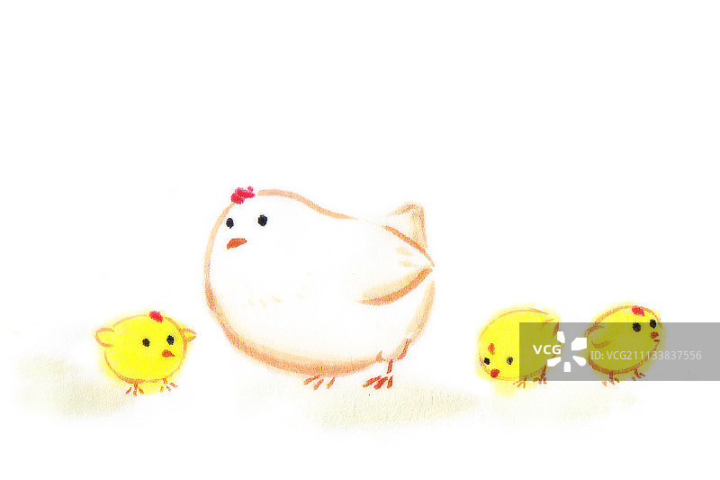 母子鸡图片素材