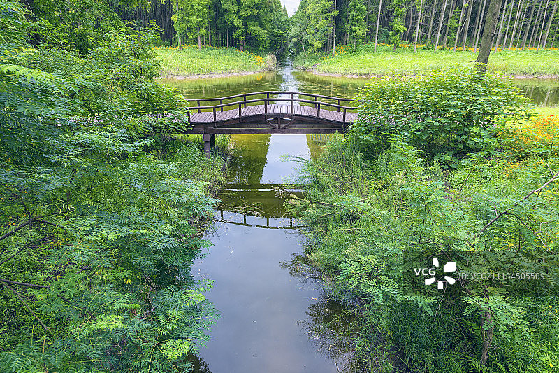 盐城东台黄海森林公园 (8)图片素材