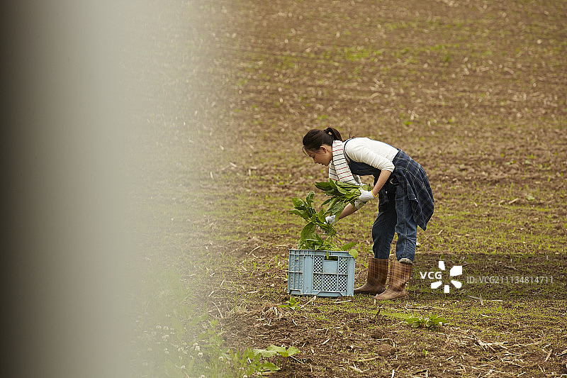 人 人物 人类图片素材