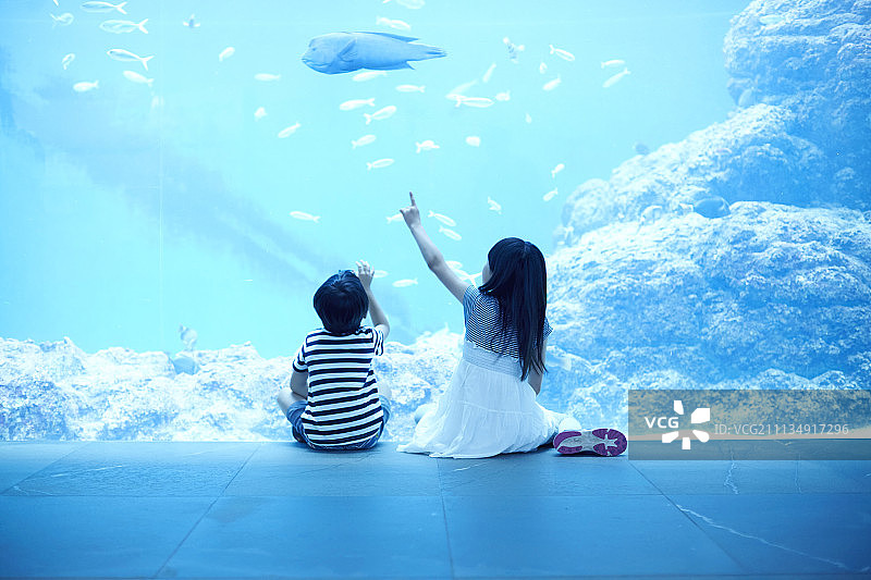 人 人物 人类图片素材