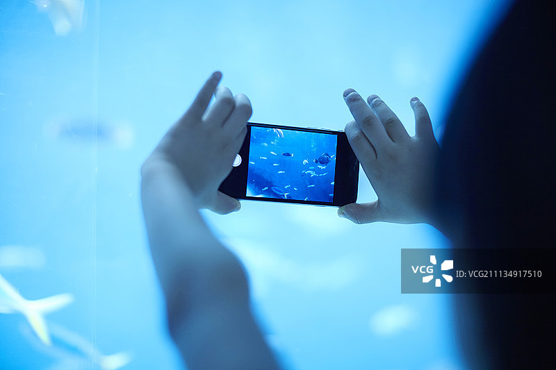 水族馆智能手机摄影图片素材