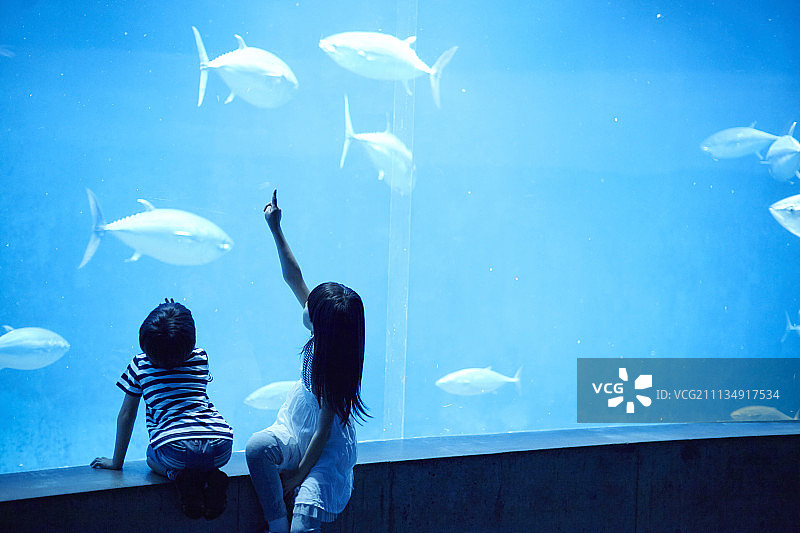 人 人物 人类图片素材