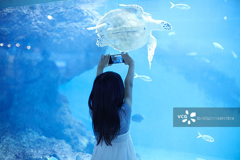 人 人物 人类图片素材