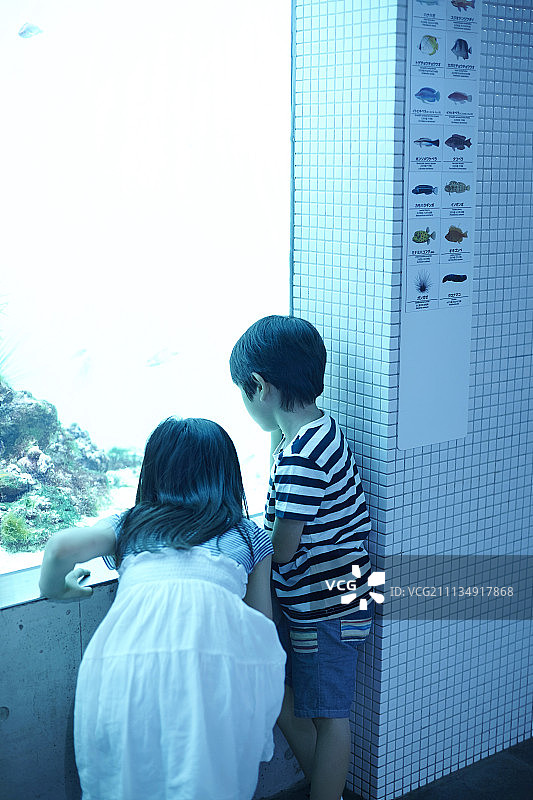 弟弟在水族馆凝视图片素材