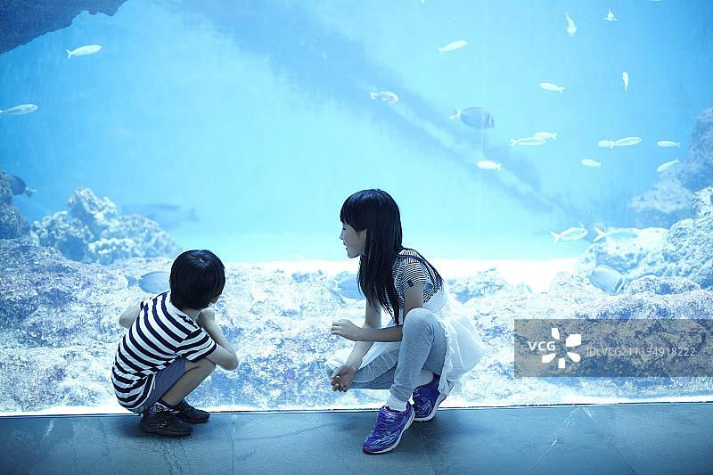 弟弟 水族馆 水箱图片素材