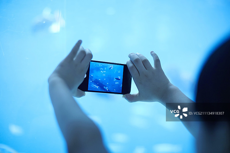 水族馆智能手机摄影图片素材