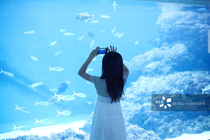 人 人物 人类图片素材