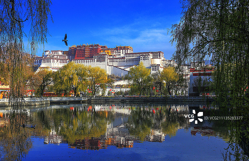 西藏布达拉宫图片素材