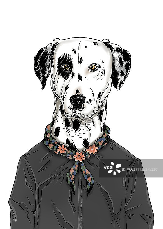 旺先生4图片素材