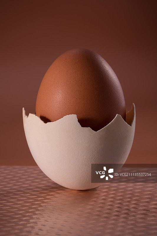 天鹅蛋孵化图片素材