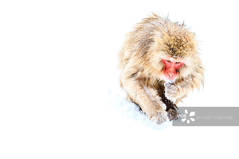 我感觉很冷图片素材