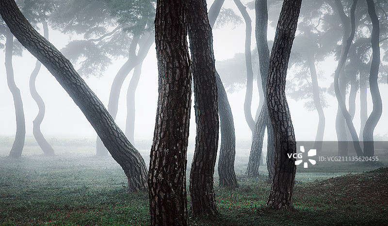 幽灵聚会图片素材