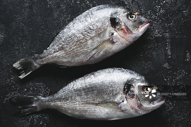 黑色石桌上的新鲜鲷鱼图片素材